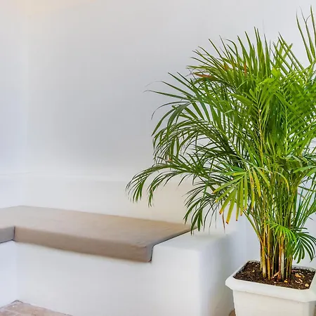 Giritimu B'yaz Bed & Breakfast *